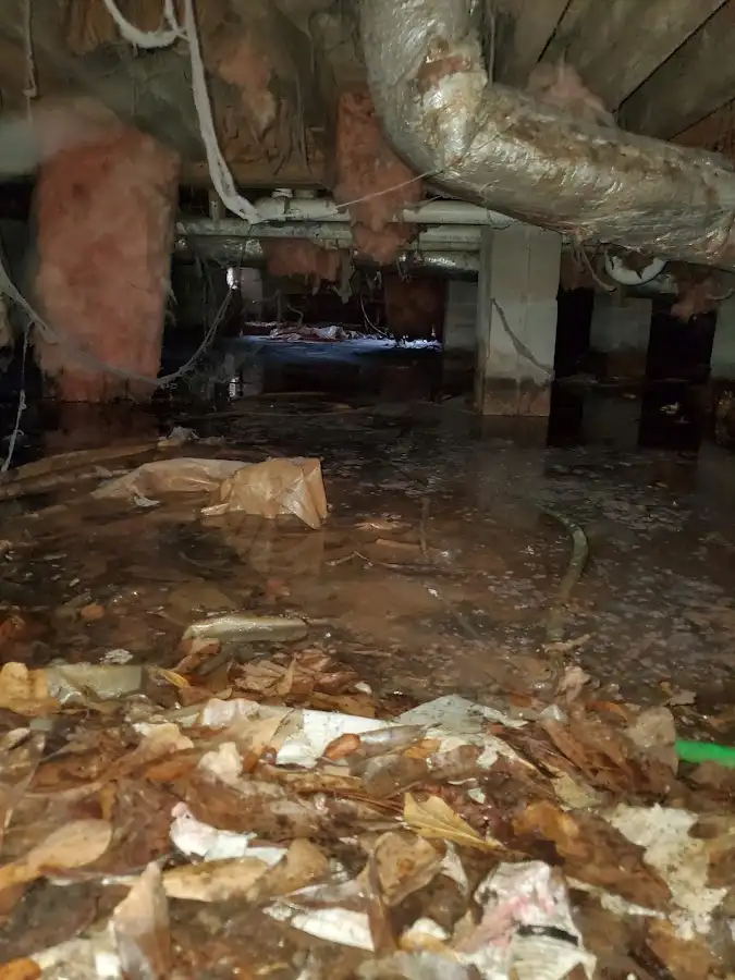 Crawl space flood assessment for Leak Detection & Repair in Alum Rock