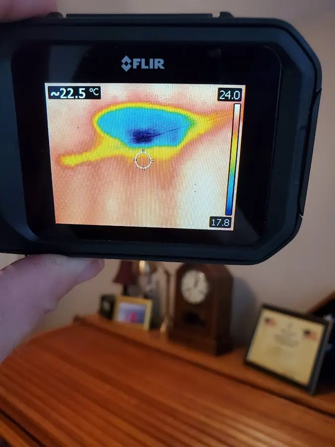 Thermal imaging inspection for water damage in Alum Rock